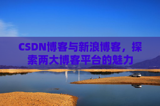 CSDN博客与新浪博客，探索两大博客平台的魅力